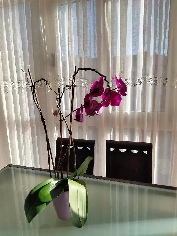Apartamento Gran Familia Santander